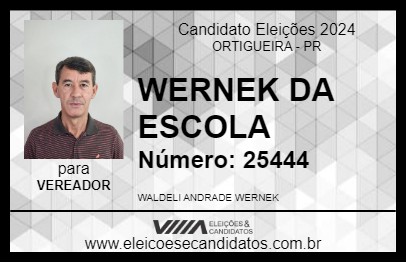 Candidato WERNEK DA ESCOLA 2024 - ORTIGUEIRA - Eleições