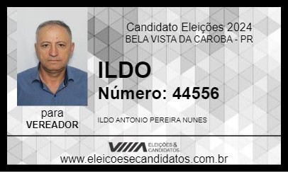 Candidato ILDO 2024 - BELA VISTA DA CAROBA - Eleições