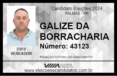 Candidato GALIZE DA BORRACHARIA 2024 - PALMAS - Eleições