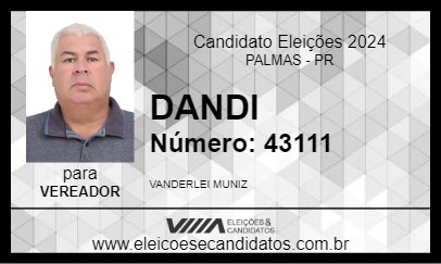 Candidato DANDI 2024 - PALMAS - Eleições