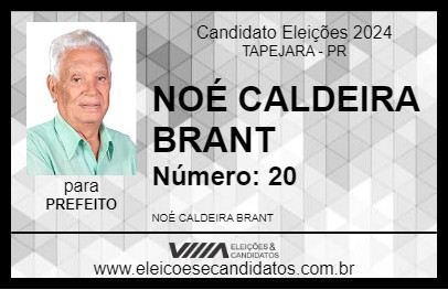 Candidato NOÉ CALDEIRA BRANT 2024 - TAPEJARA - Eleições