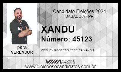 Candidato XANDU 2024 - SABÁUDIA - Eleições