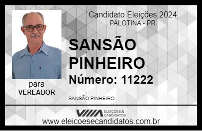 Candidato SANSÃO PINHEIRO 2024 - PALOTINA - Eleições