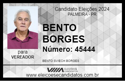 Candidato BENTO BORGES  2024 - PALMEIRA - Eleições