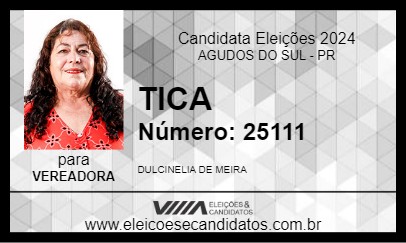 Candidato TICA 2024 - AGUDOS DO SUL - Eleições