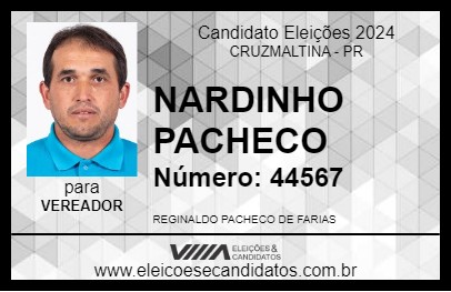 Candidato NARDINHO PACHECO 2024 - CRUZMALTINA - Eleições