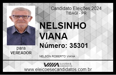 Candidato NELSINHO VIANA 2024 - TIBAGI - Eleições