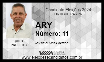 Candidato ARY 2024 - ORTIGUEIRA - Eleições