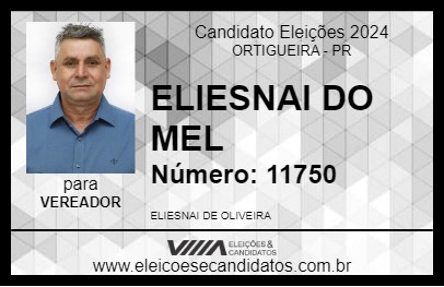 Candidato ELIESNAI DO MEL 2024 - ORTIGUEIRA - Eleições