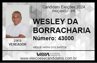 Candidato WESLEY DA BORRACHARIA 2024 - PAIÇANDU - Eleições