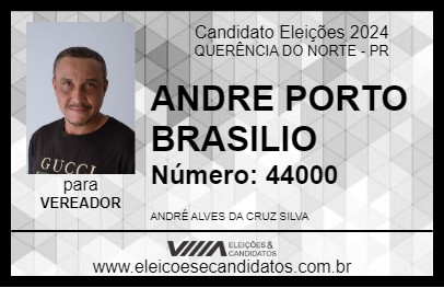 Candidato ANDRE PORTO BRASILIO 2024 - QUERÊNCIA DO NORTE - Eleições