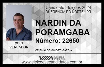 Candidato NARDIN DA PORAMGABA 2024 - QUERÊNCIA DO NORTE - Eleições