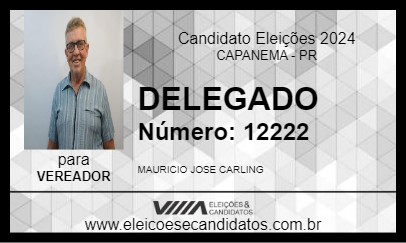 Candidato DELEGADO 2024 - CAPANEMA - Eleições