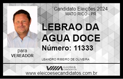 Candidato LEBRAO DA AGUA DOCE 2024 - MATO RICO - Eleições