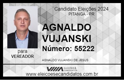 Candidato AGNALDO VUJANSKI 2024 - PITANGA - Eleições