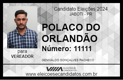 Candidato POLACO DO ORLANDÃO 2024 - JABOTI - Eleições