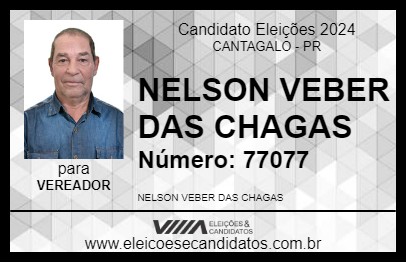 Candidato NELSON VEBER DAS CHAGAS 2024 - CANTAGALO - Eleições