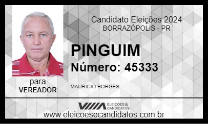 Candidato PINGUIM 2024 - BORRAZÓPOLIS - Eleições