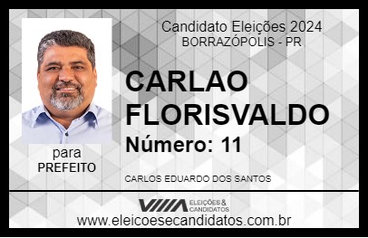 Candidato CARLAO FLORISVALDO 2024 - BORRAZÓPOLIS - Eleições