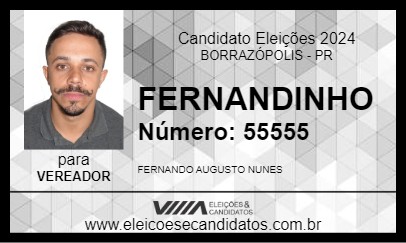 Candidato FERNANDINHO 2024 - BORRAZÓPOLIS - Eleições