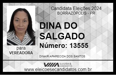 Candidato DINA DO SALGADO 2024 - BORRAZÓPOLIS - Eleições