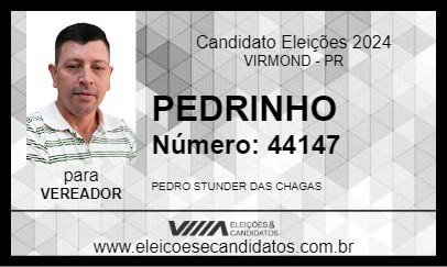 Candidato PEDRINHO 2024 - VIRMOND - Eleições