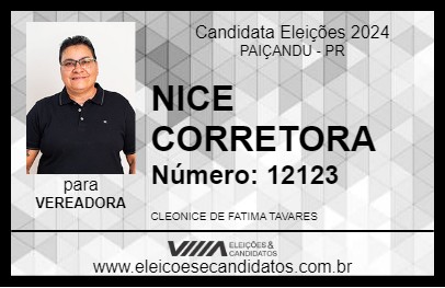 Candidato NICE CORRETORA 2024 - PAIÇANDU - Eleições