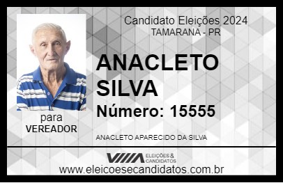 Candidato ANACLETO SILVA 2024 - TAMARANA - Eleições