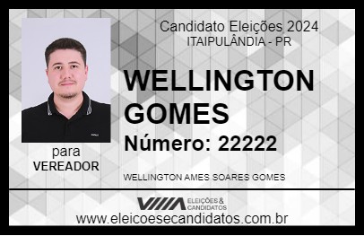 Candidato WELLINGTON GOMES 2024 - ITAIPULÂNDIA - Eleições