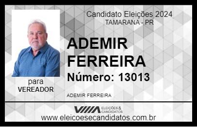 Candidato ADEMIR FERREIRA  2024 - TAMARANA - Eleições