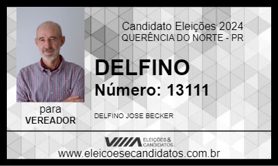 Candidato DELFINO 2024 - QUERÊNCIA DO NORTE - Eleições