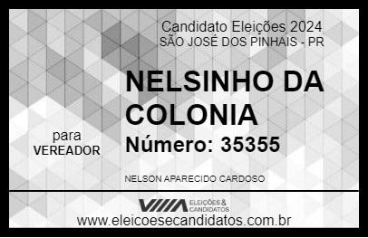 Candidato NELSINHO DA COLONIA 2024 - SÃO JOSÉ DOS PINHAIS - Eleições