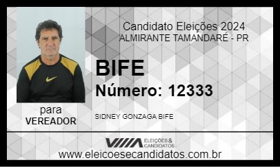 Candidato BIFE 2024 - ALMIRANTE TAMANDARÉ - Eleições