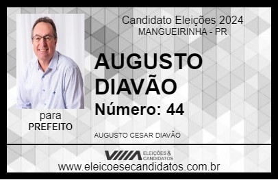 Candidato AUGUSTO DIAVÃO 2024 - MANGUEIRINHA - Eleições