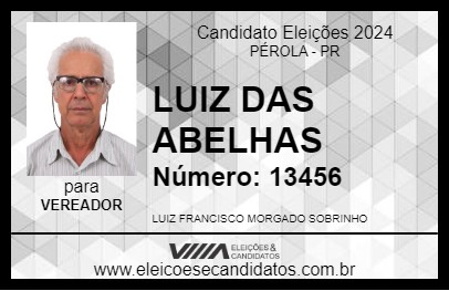 Candidato LUIZ DAS ABELHAS 2024 - PÉROLA - Eleições