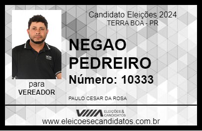 Candidato NEGAO PEDREIRO 2024 - TERRA BOA - Eleições