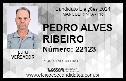 Candidato PEDRO ALVES RIBEIRO 2024 - MANGUEIRINHA - Eleições