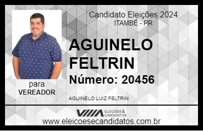 Candidato AGUINELO FELTRIN 2024 - ITAMBÉ - Eleições