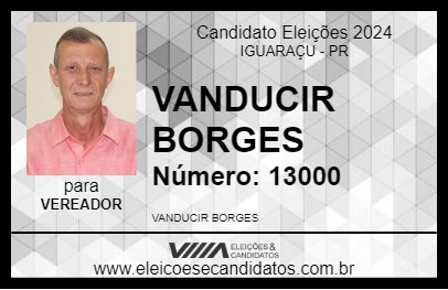 Candidato VANDUCIR BORGES 2024 - IGUARAÇU - Eleições