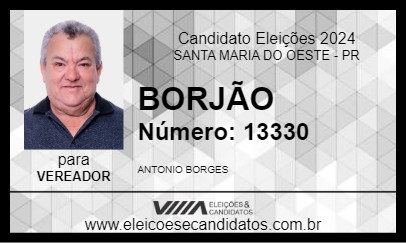 Candidato BORJÃO 2024 - SANTA MARIA DO OESTE - Eleições