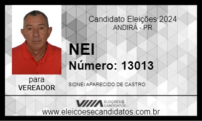 Candidato NEI 2024 - ANDIRÁ - Eleições