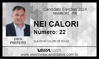 Candidato NEI CALORI 2024 - MAMBORÊ - Eleições