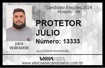 Candidato PROTETOR JÚLIO 2024 - PEABIRU - Eleições