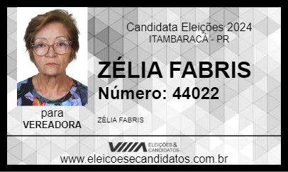 Candidato ZÉLIA FABRIS 2024 - ITAMBARACÁ - Eleições