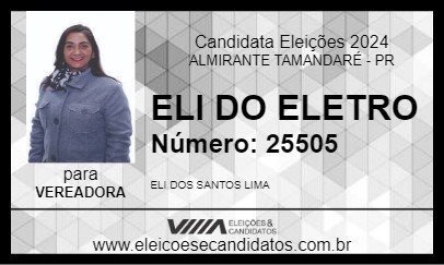 Candidato ELI DO ELETRO 2024 - ALMIRANTE TAMANDARÉ - Eleições