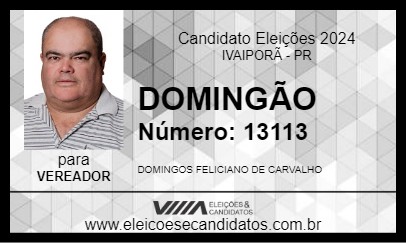 Candidato DOMINGÃO 2024 - IVAIPORÃ - Eleições