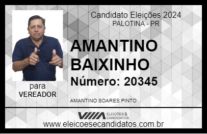 Candidato AMANTINO BAIXINHO 2024 - PALOTINA - Eleições