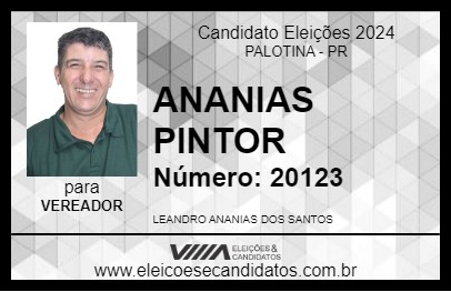 Candidato ANANIAS PINTOR 2024 - PALOTINA - Eleições