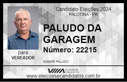 Candidato PALUDO DA GARAGEM 2024 - PALOTINA - Eleições