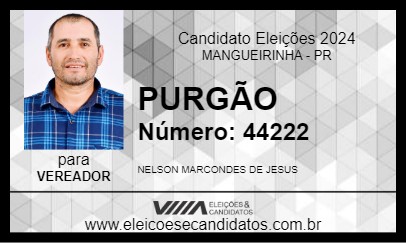 Candidato PURGÃO 2024 - MANGUEIRINHA - Eleições